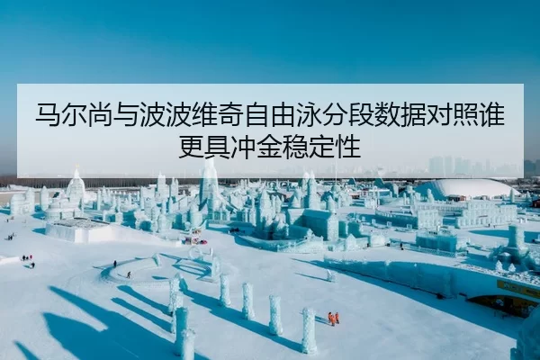 马尔尚与波波维奇自由泳分段数据对照谁更具冲金稳定性 | yaxin