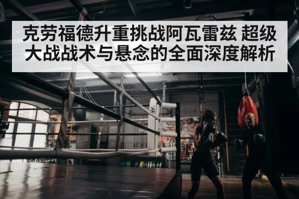 boxer training